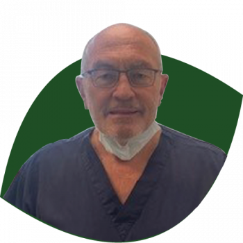 Dental Specialty Group Toronto North York Dentist